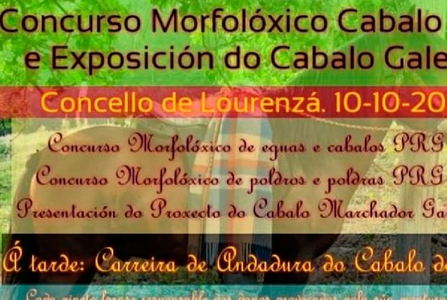 concurso morfoloxico cabalo loureza 1