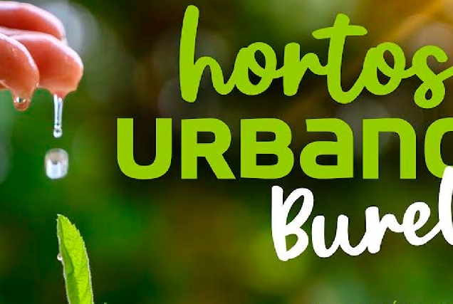 hortos urbanos burela 1