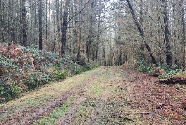 pistas monte xunta limpeza roza