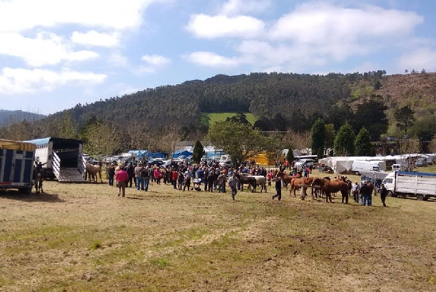 feira romaria de San Marcos en A Cadeira en Trabada 2018