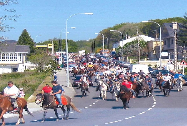 festa san isidro paradela