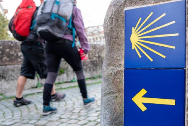 camino-santiago-peregrinos-