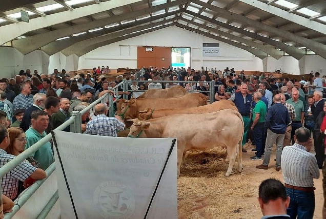 poxa xovencas pedrafita granxa gayoso