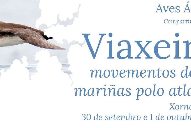 viaxeiras movementos aves vicedo 1