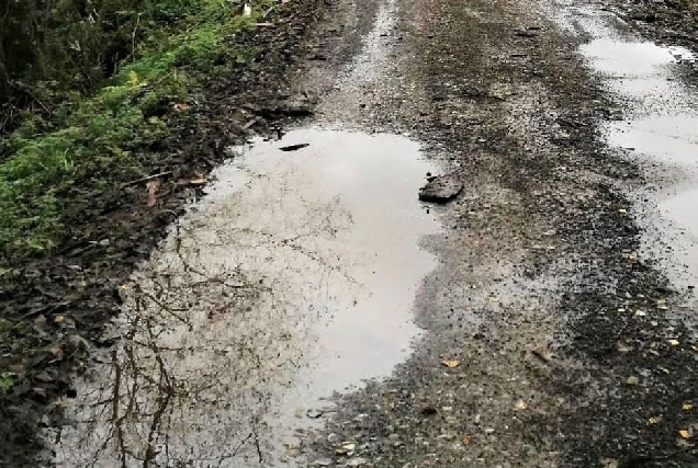 pista estrada transporte escolar pastoriza