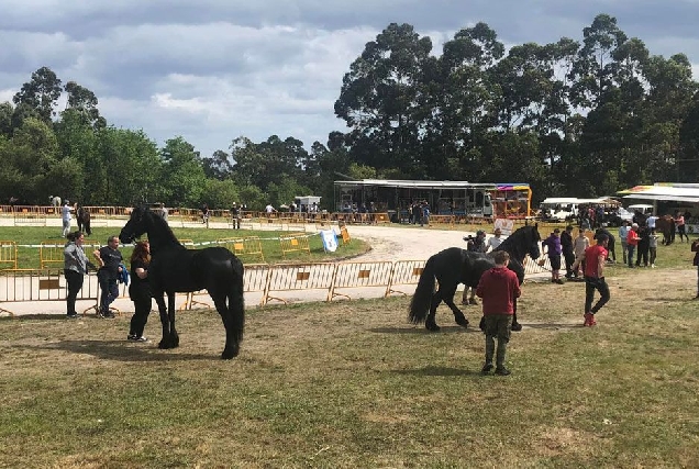 ruta equina Asociacion a Medela Xove