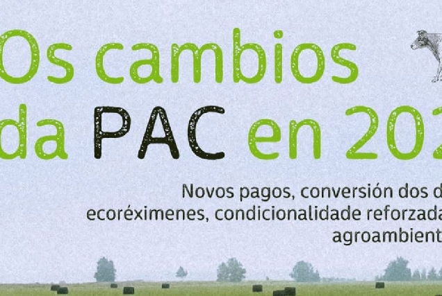 pac lancara