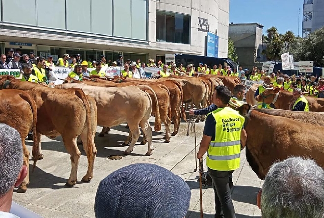 Gandeiros protesta