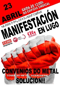 manifestacion lugo sector metal