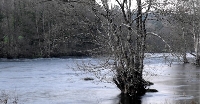 Bosque fervenza ruta corgo