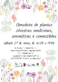 obradoiro plantas medicinais casa das insuas