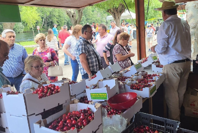 Festa da Cereixa, do Viño e do Aceite Ribas de Sil