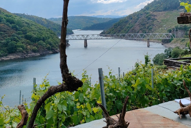 Ribeira Sacra Raizames