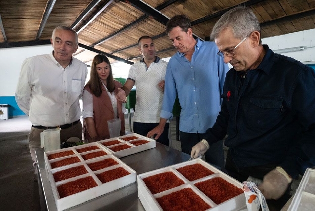 cesar mogo mayra besteiro e ribeira de piquin piscifactoria