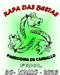 rapa das bestas carballo friol