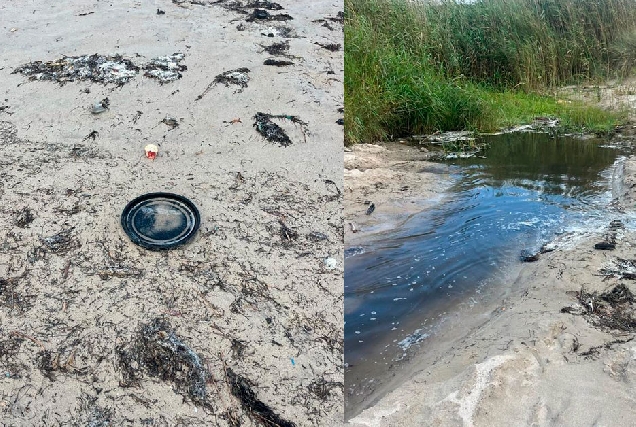 limpeza barreiros praias queixa pp