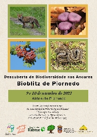 sociedade mociloxica lucus Bioblitz piornedo