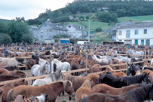 san-lucas-mondonedo-feira