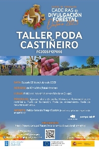 Taller poda castiñeiro Distrito Forestal Sarria Lugo