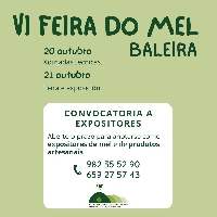 VI feira do mel baleira 2023