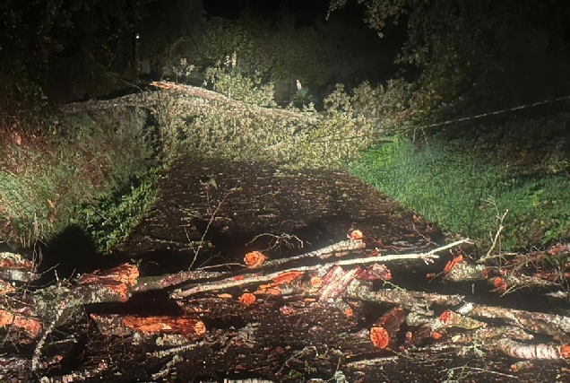 carretera cortada temporal