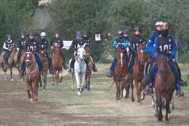 Raid Santa Susanna carreira cabalos