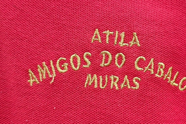 atila amigos dos cabalos muras