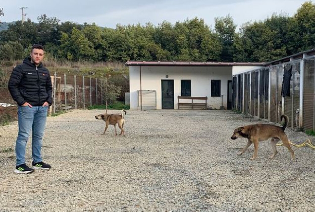 refuxio de animais Quiroga