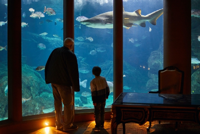 Aquarium Finisterrae Coruña