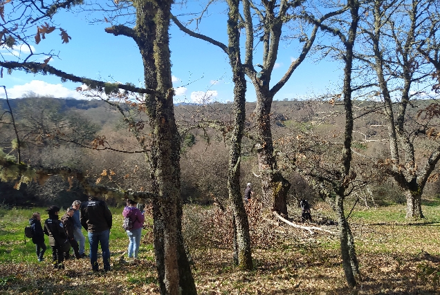 curso_poda_OBolo