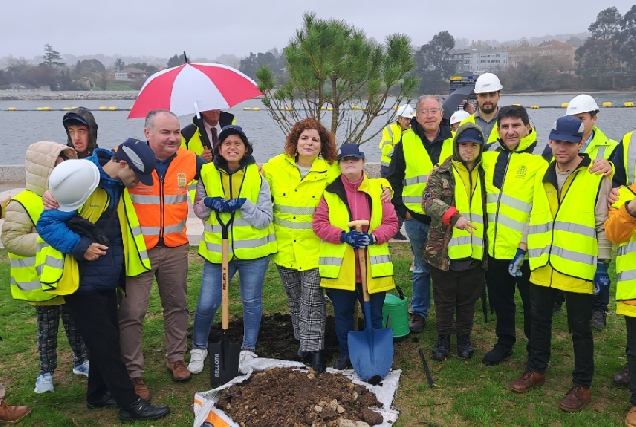 Imaxe da plantación de árbores este mércores no paseo marítimo do Burgo