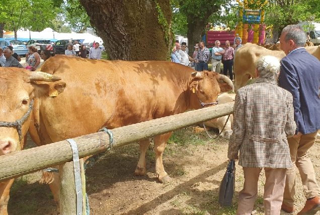 Feira da Tenreira Láncara