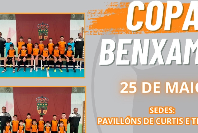 Imaxe do cartel da Copa Benxamín en Curtis e Teixeiro