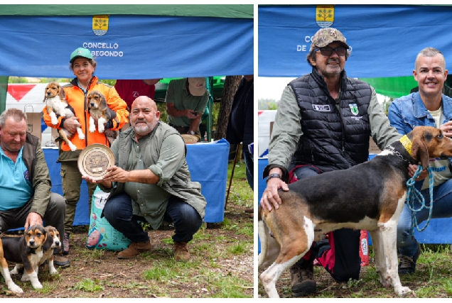 Imaxes do mellor exemplar e do mellor lote na Mostra de Cans de Caza de Abegondo