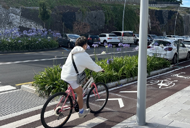 Imaxe de humanización da avenida de Arteixo