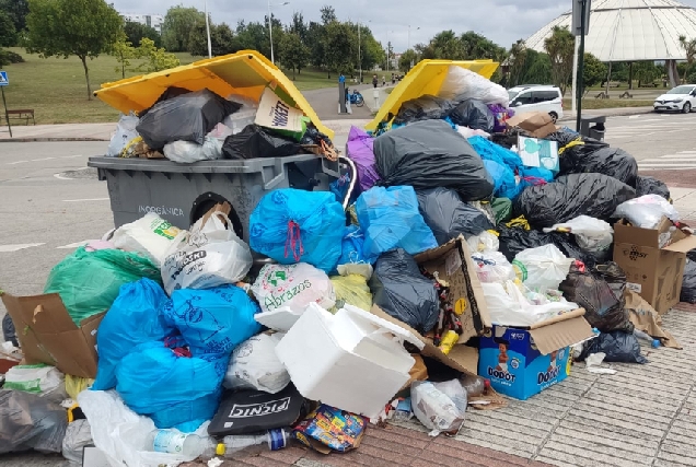 bolsas de basura