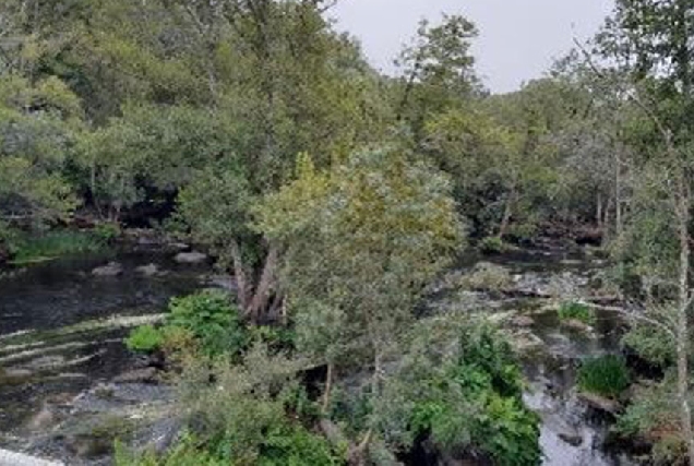 ponte-de-ombreiro