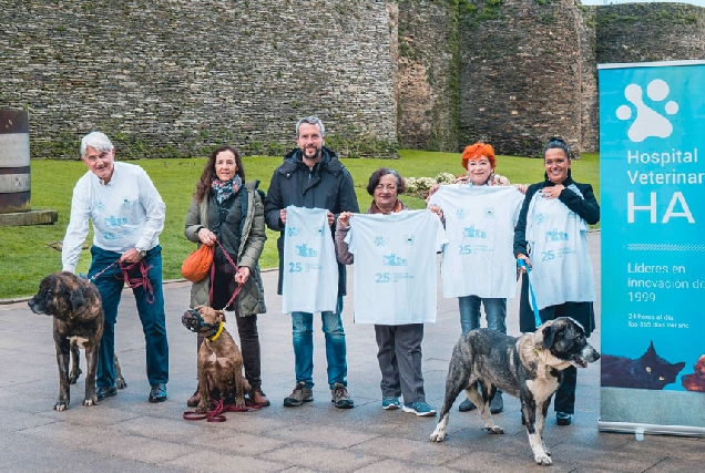 andaina-asociación-animalistas-Lugo